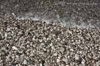 /album/de-masi-antonio-photo/a1052381-488016347957273-2128580781-o-jpg/